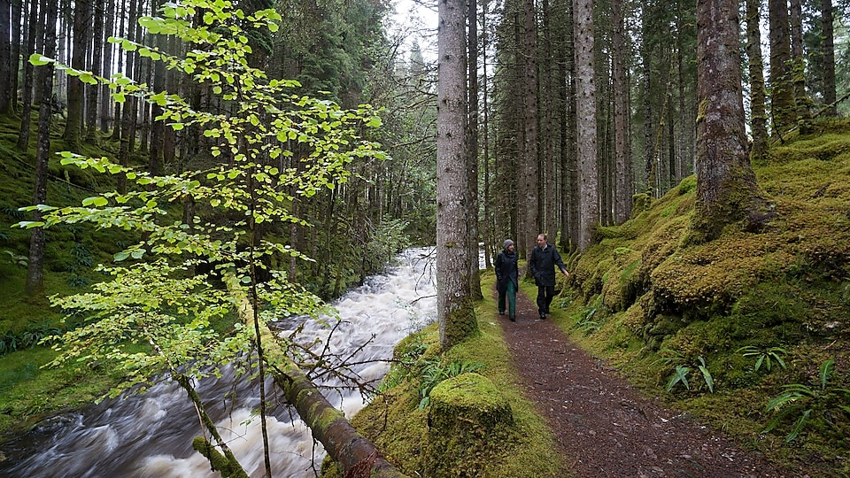 Un homme et une femme se promenant le long de rapides en forêt
