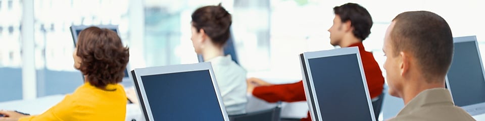 rear view of four business executives using computers in an office